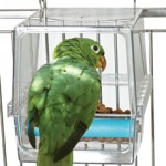 parrot cafe seed corral-large